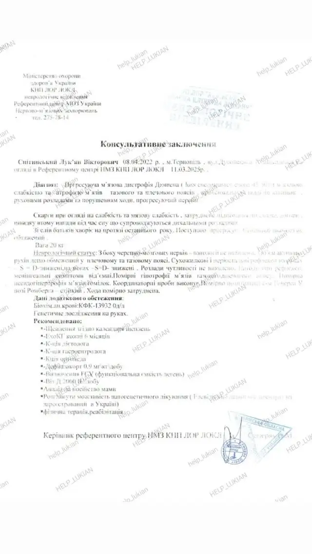 Консультативне заключення НМЗ